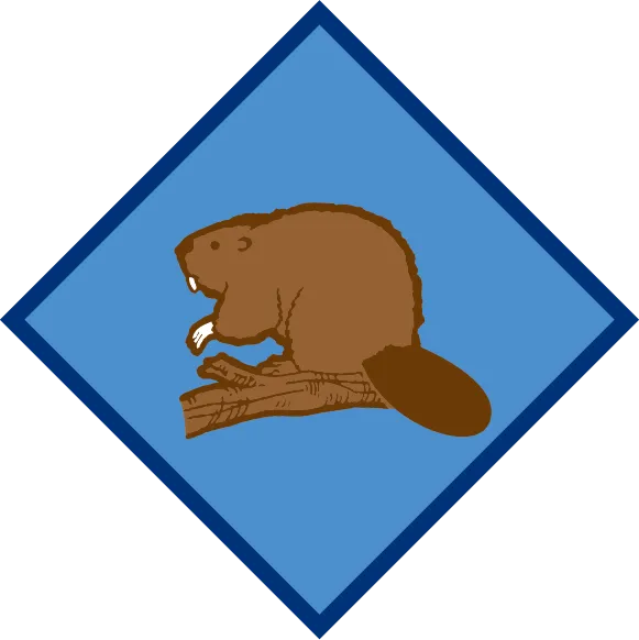 ビーバースカウト